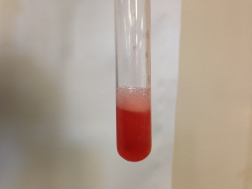 The strawberry liquid and DNA extraction buffer